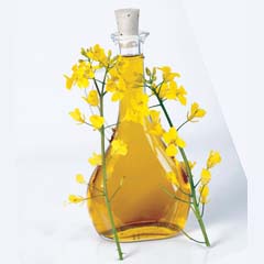 rapeseed oil production