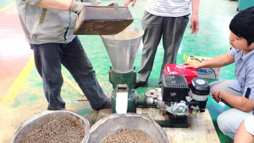 gasoline pellet mill test machine