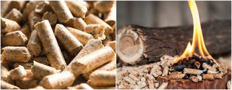 Biomass Wood Pellet Fuel