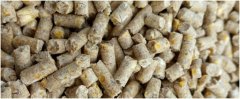 Improve Feed Quality by Adjusting the Production Process of Chicken Feed Pellet Machine