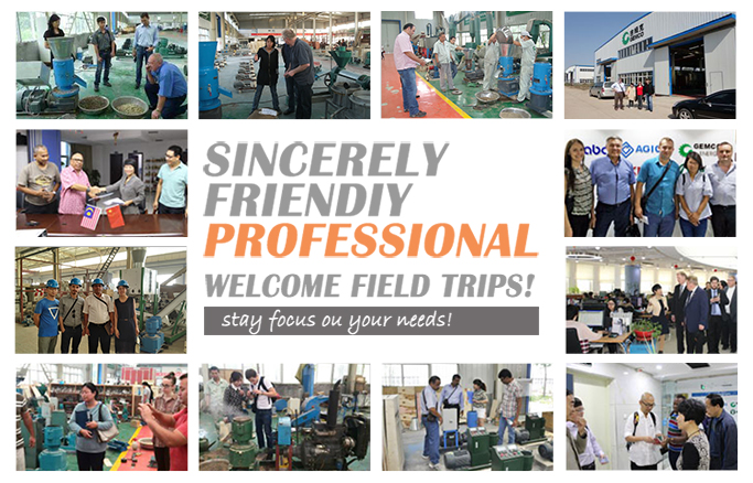 GEMCO Pellet Mill for Best Service