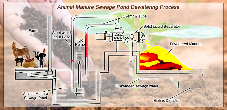 Manure Drying System Process Principle Flow