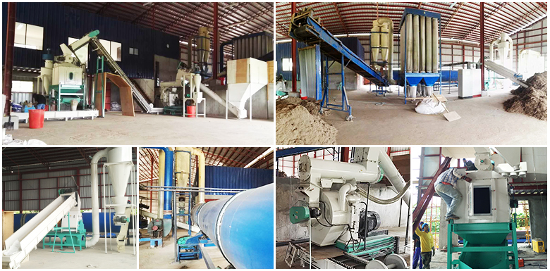 Philippine 2TPH Elephant Grass Pellet Production Line