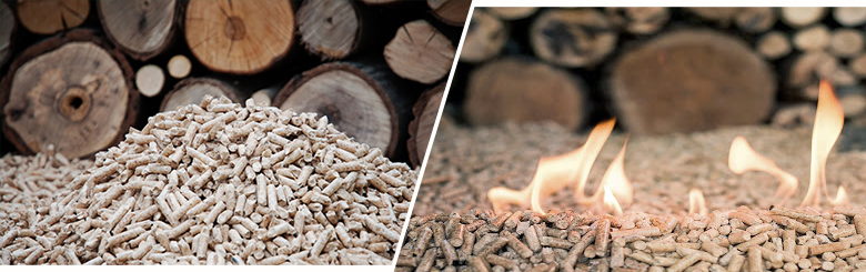 Biomass Wood Pellet Production