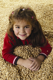 high quality wood pellets