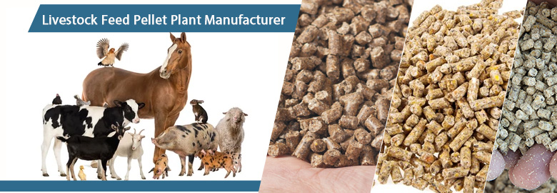 Livestock feed industry