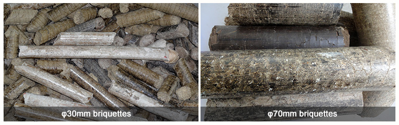 Making Diameter 30mm-70mm Briquettes