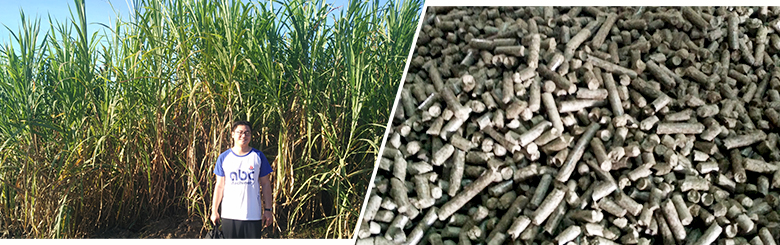 Factors Affecting the Output of Biomass Wood Pellet Machine