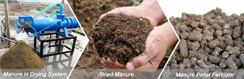 Manure Pellet Drying System