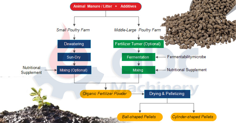 Organic Chicken Manure Pellet Fertilizer Production Process