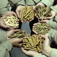 pellets made by pellet making machine