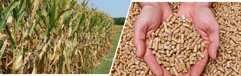 Produce Animal Feed Pellet from Corn Stalks