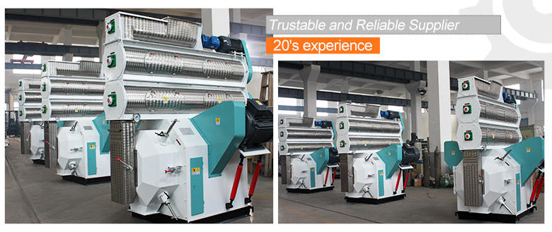 Ring Die Feed Pellet Machine Business