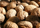 walnuts