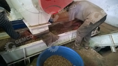 wood pellets are made out